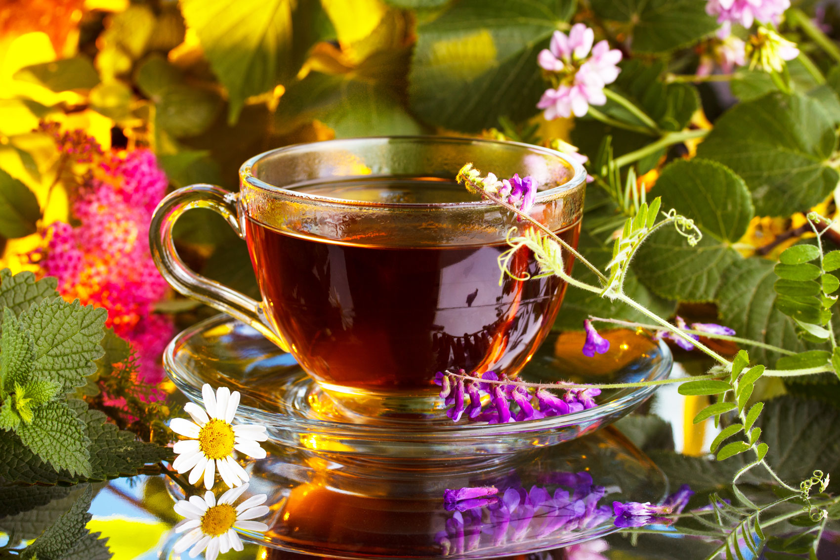 Holistic herbal healing
